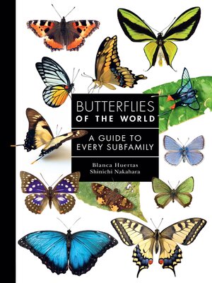 cover image of Butterflies of the World